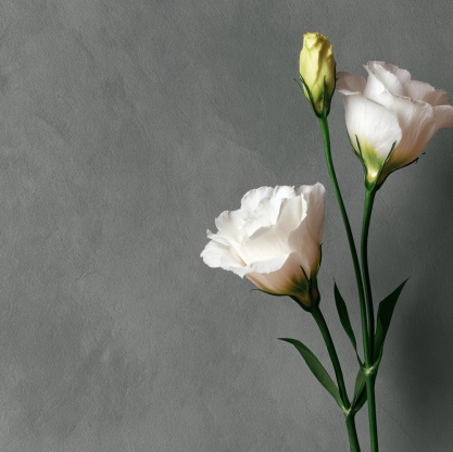 The Importance of Personal Choice in Cremation Planning