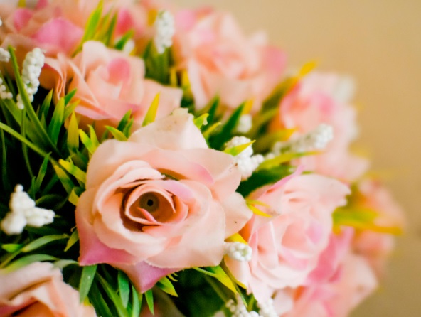 Why Cremation Services Are Sometimes Chosen Without a Plan